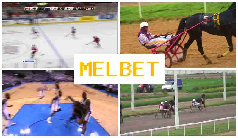 ME, BET 🏀 Sportsbook, Official Bookmaker Portal
