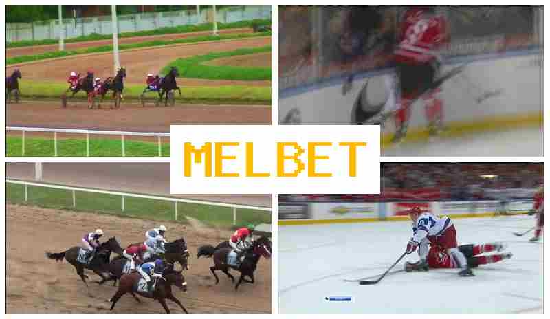 MEL B3T 👍 Official Bookmaker Site, Sports Betting, Special Offers and Rewards