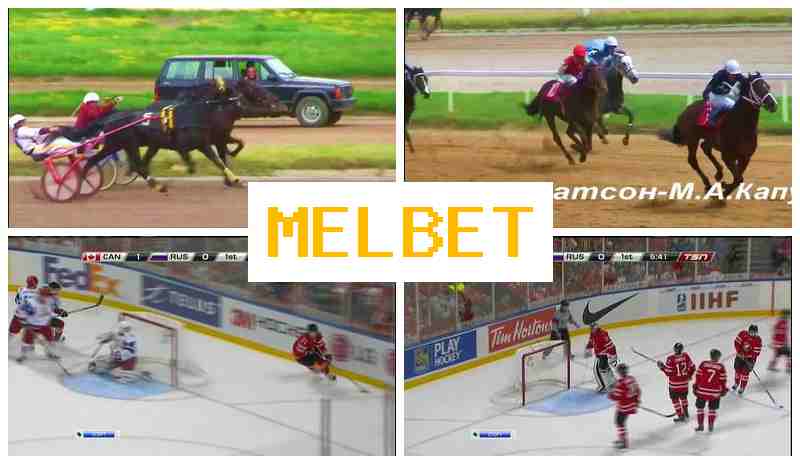 MEL BE5 💲 Betting Office
