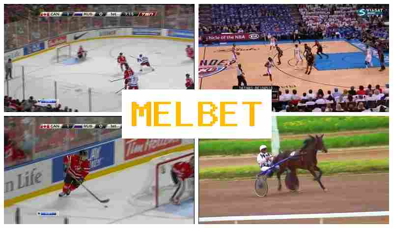 MLEBET ☑️ Official Sportsbook, Create Account, Login, Place Sports Bets