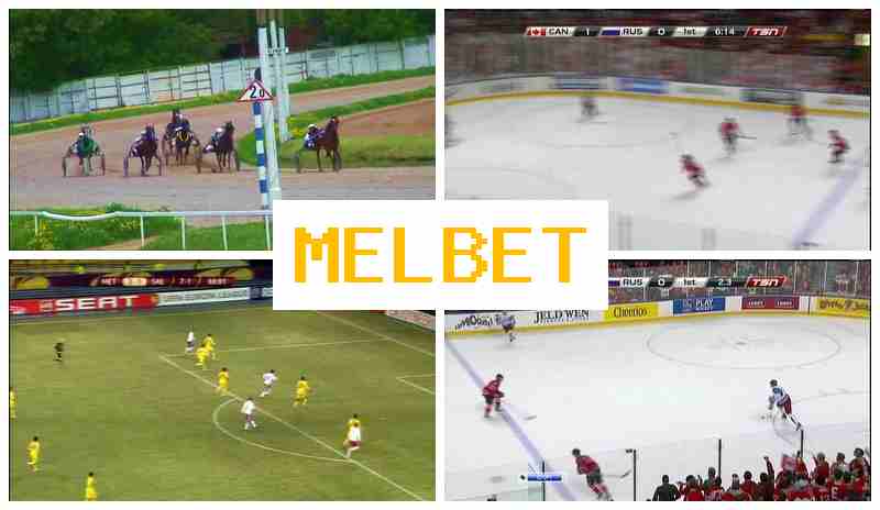 NELBET ⚽ Sports Betting, Internet Betting, Official Site