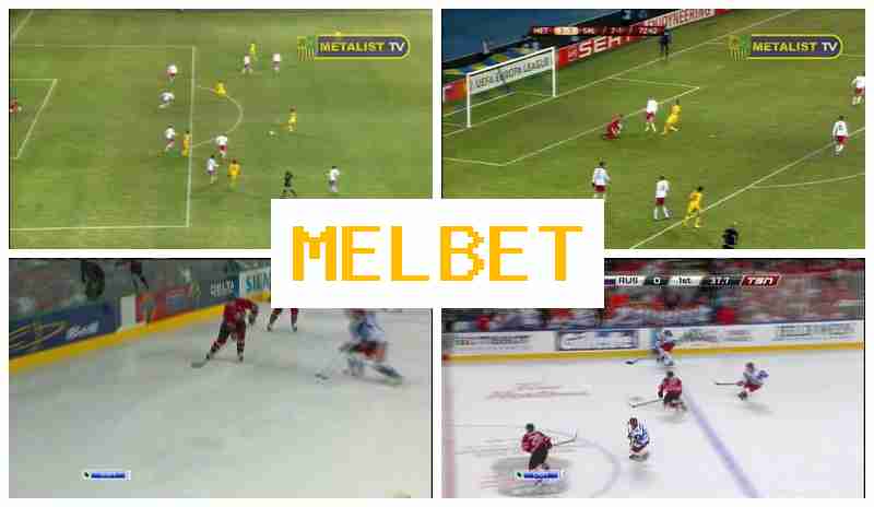 M3LBET 🔔 Bookmaker Company, Online