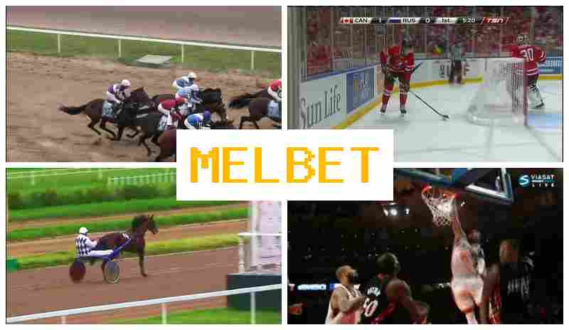 ME.BET 🔶 Bookmaker Company