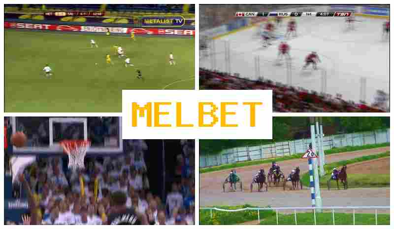 MELBE6 🔵 Bookmaker Company, Free Bet for Signing Up