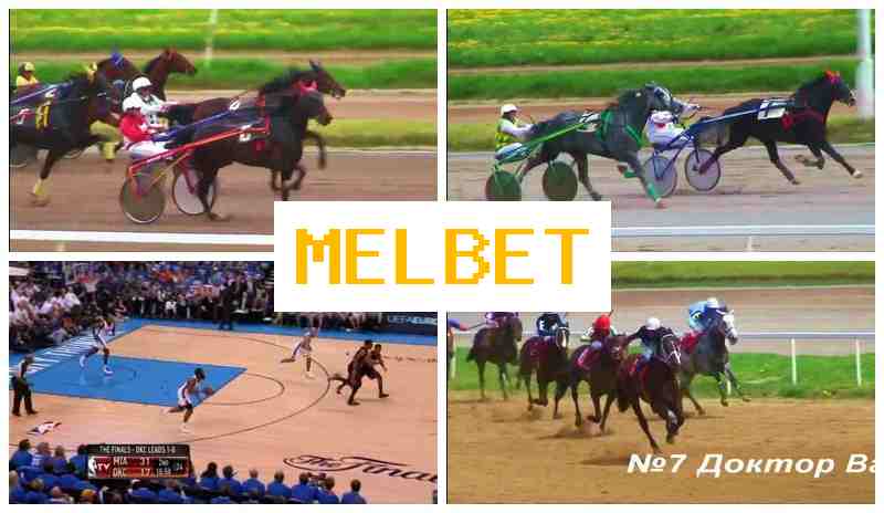 EL BET ✔️ Betting on Sports, New Player Bonus, Official Site of the Betting Company