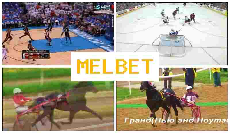 ML BET ⚾ Place Bets on Sports, Promotions and Bonuses, Official Website