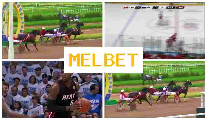 MELL BET 🎾 Betting Firm, Online