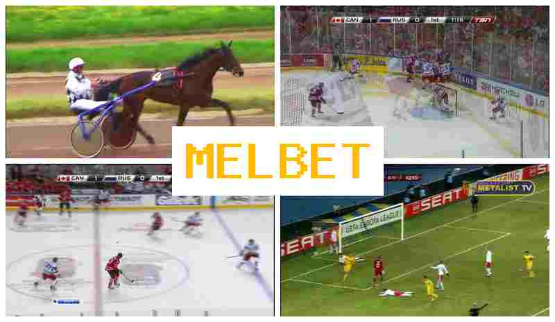 EML BET 🔵 Betting Office