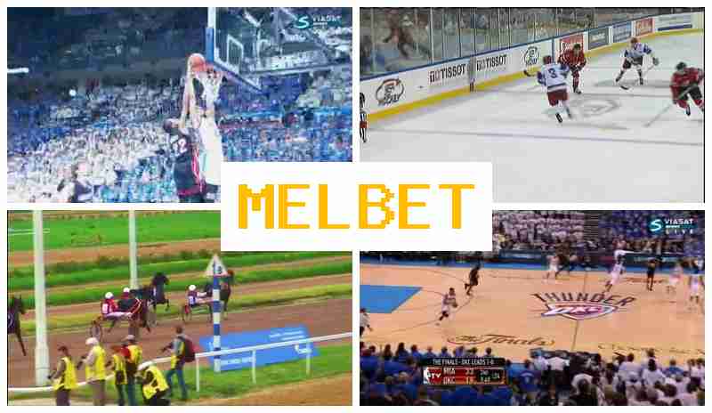 NEL BET 🆓 Top Betting Company, Create Account, Login, Wager Online