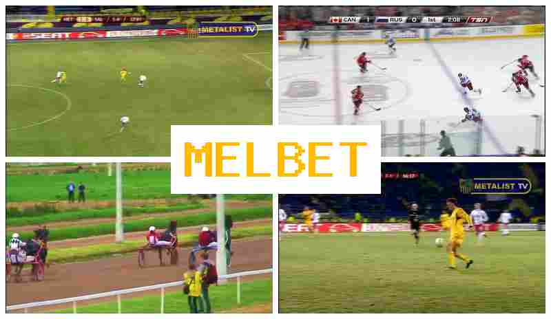 MELBT ☑️ Betting Platform, Official Site, Bonuses and Free Bets, Registration