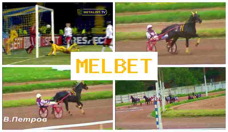 MRL BET 🔶 Place Bets on Sports, Deposit Bonuses and Rewards, Official Bookmaker Site