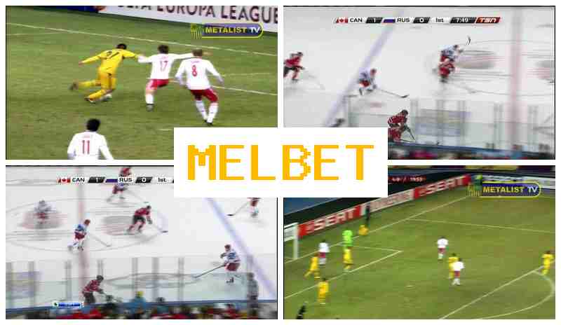 MDL BET █ Betting Firm
