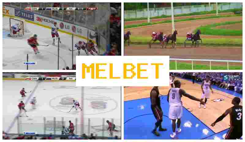 MEP BET 💸 Sportsbook Bets, Digital Sports Bets, Bonus Offers, Official Bookmaker Site