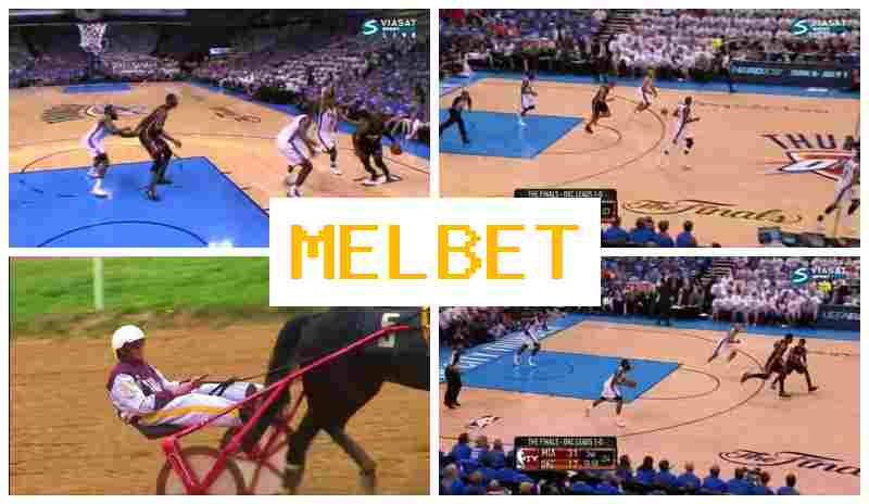 MEL VET 👍 Bookmaker Company, Online