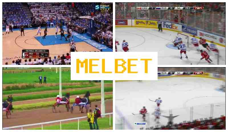 MEL NET 💸 Bet on Sports, Bonus on Registration