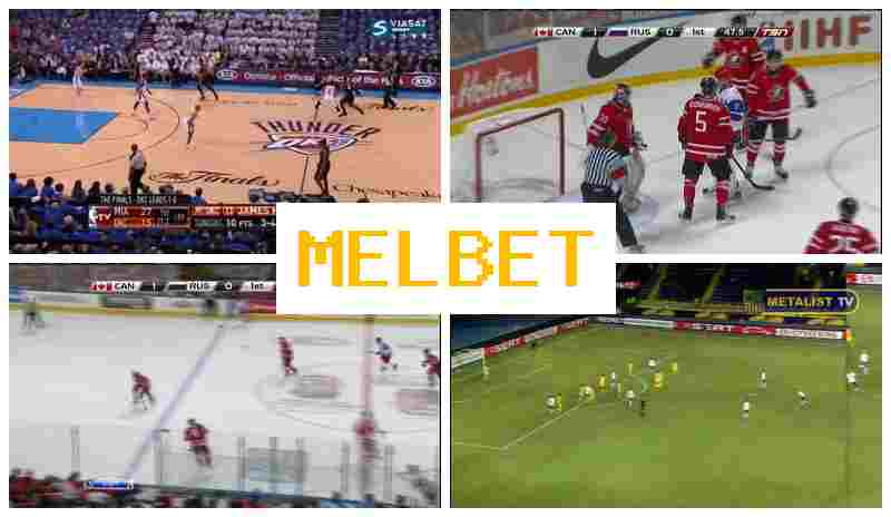 NELBET 🔷 Bookmaker, Enter Official Site, Registration, Wager on Sporting Events