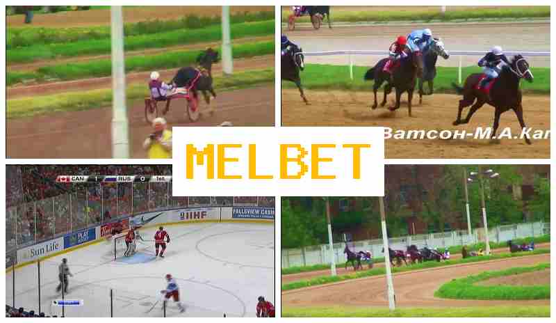 JELBET 🏆 Bet on Sports, Official Page of the Sportsbook