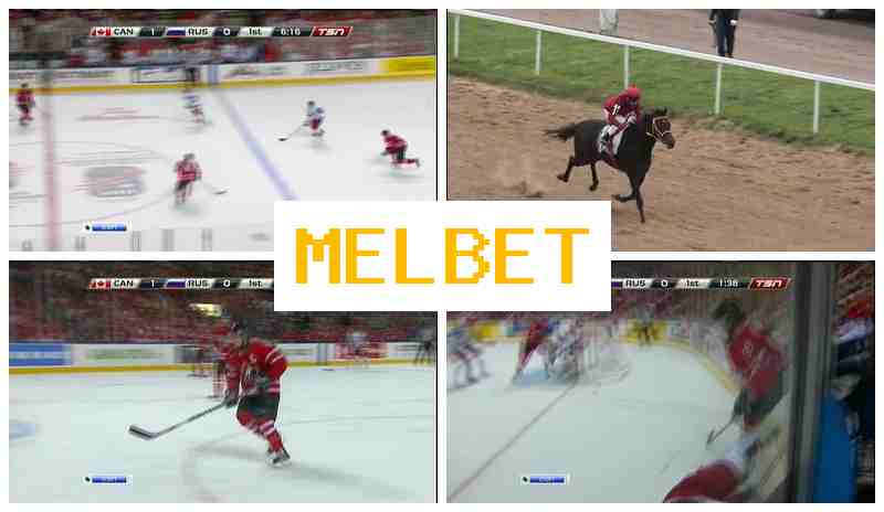 MWLBET 💯 Official Sportsbook Platform, Bet on Sports, Special Offers and Rewards