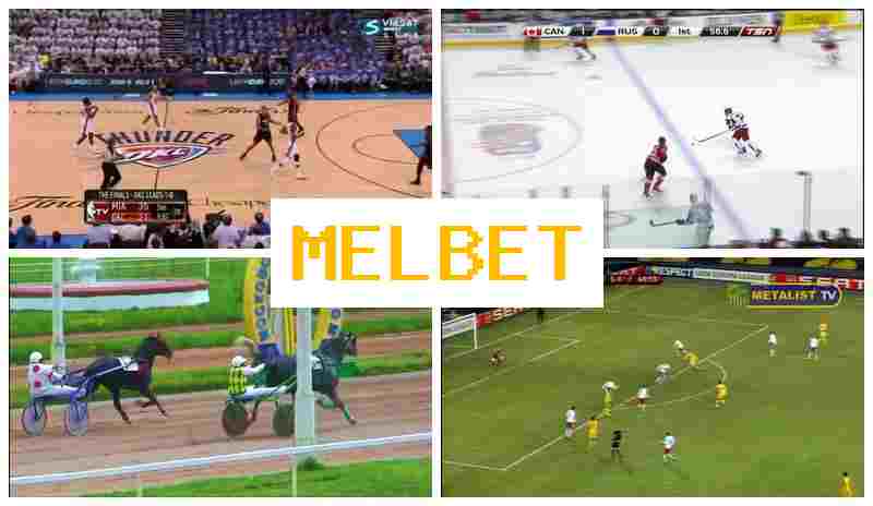 MEOBET 💯 Online Sports Bets, Registration Bonus, Official Site of the Bookmaker