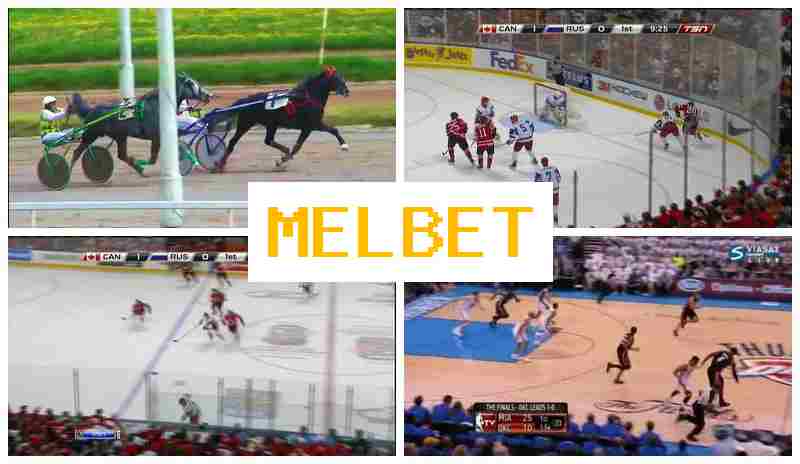 MELB4T 🏀 Bookmaker Platform, Free Play Rewards, Live Event Betting