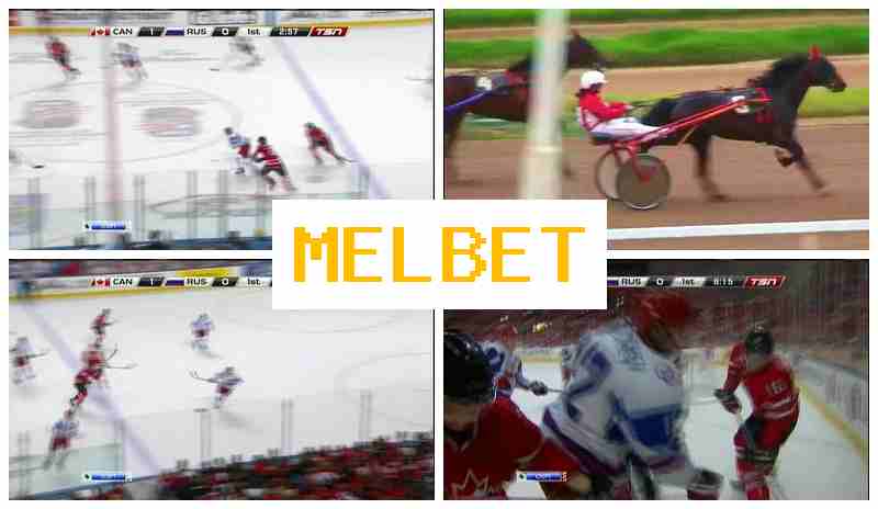 MELBE5 🏀 Live Sports Betting, Online, Official Website