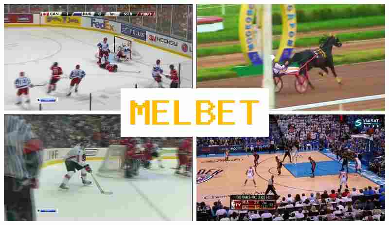ME BET 👍 Bookmaker Company, Official Site