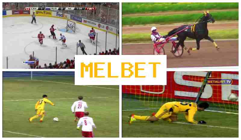 JEL BET 💲 Sportsbook Bets, Free Bets and Promotions, Official Bookmaker Website