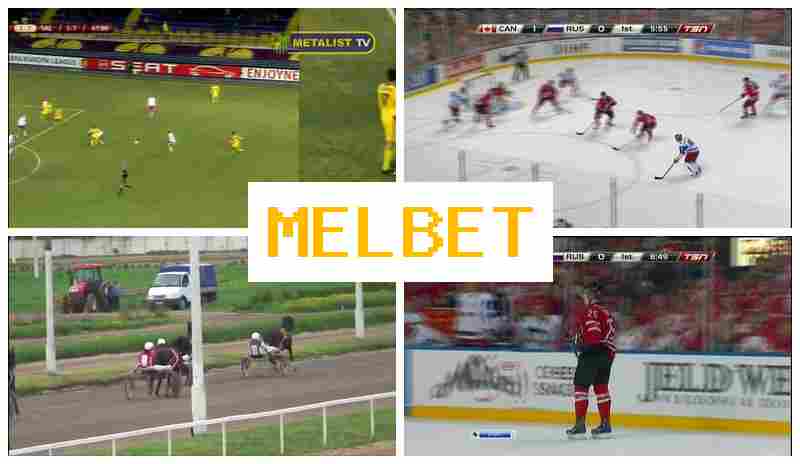 MDL BET ⚡ Internet Bookmaker, Sportsbook Bets