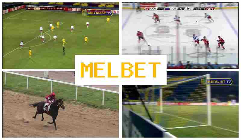 MSL BET 🔵 Bookmaker Company, Online, Official Bookmaker Website