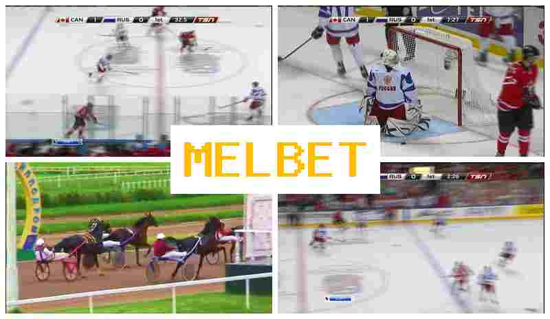 MEL VET ✔️ Gambling Operator, Bonus on Registration, Official Page of the Bookmaker
