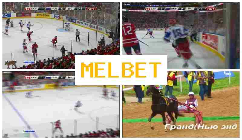 MEL BEY ▒ Betting on Sporting Events, New Player Bonus, Verified Website of the Betting Operator