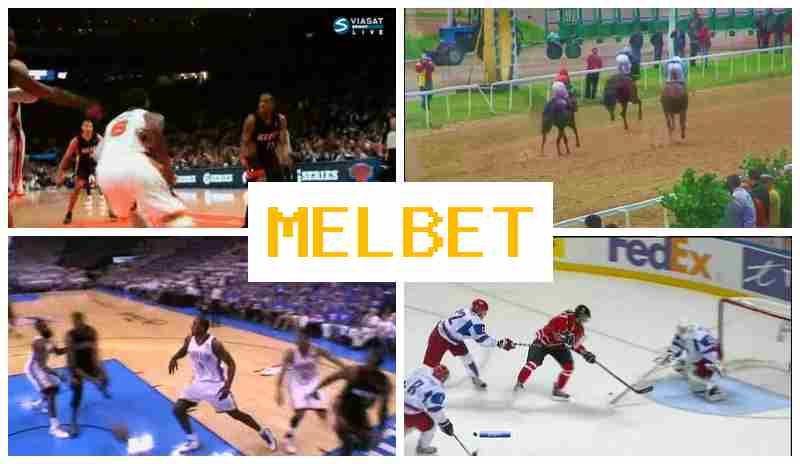 MLEBET ☘ Place Bets on Sports, Virtual with Best Odds
