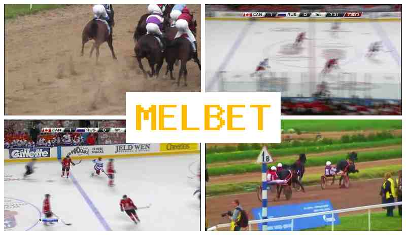 NELBET 💯 Digital Betting Platform, New User Bonus, Online Wagering on Sports