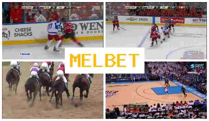 MEOBET 🔸 Live Betting on Sports, Digital Sports Betting offering High Odds