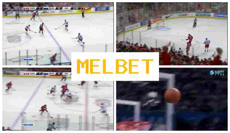 MELVET 🎾 Gambling Operator, New Player Bonus