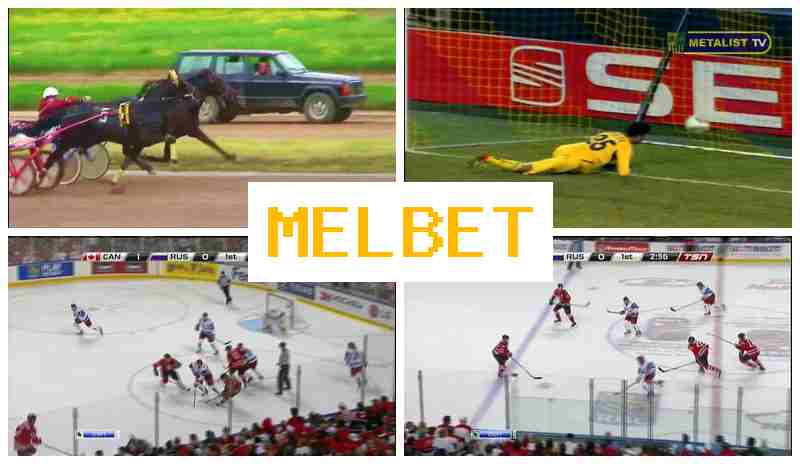 MELBDT 🔵 Sports Betting, Promotions and Bonuses, Official Website