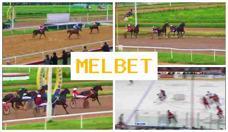 MELBE6 🆓 Online Bookmaker, Enter Official Platform, Registration, Sports Betting