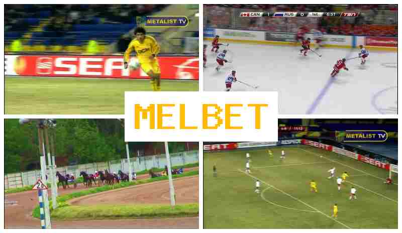MELBEF 🆕 Online Bookmaker, Official Site, Registration