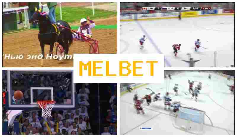 MMEL BET 👍 Online Bookmaker, Official Site, Bonuses and Free Bets, Registration