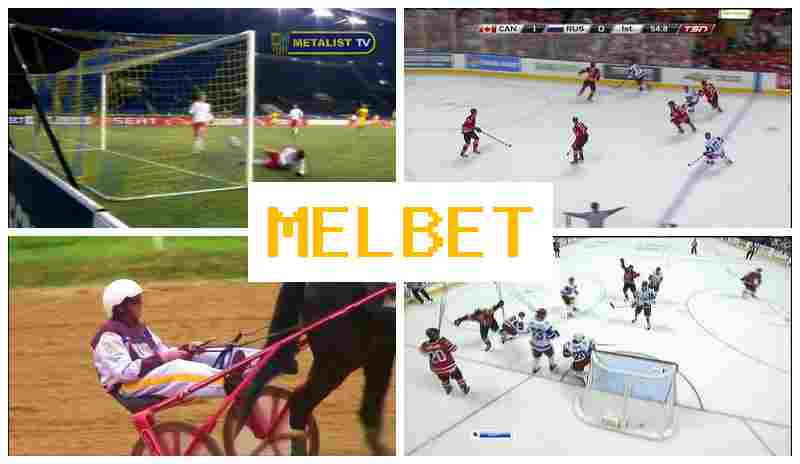 MEEL BET 💸 Bookmaker Office