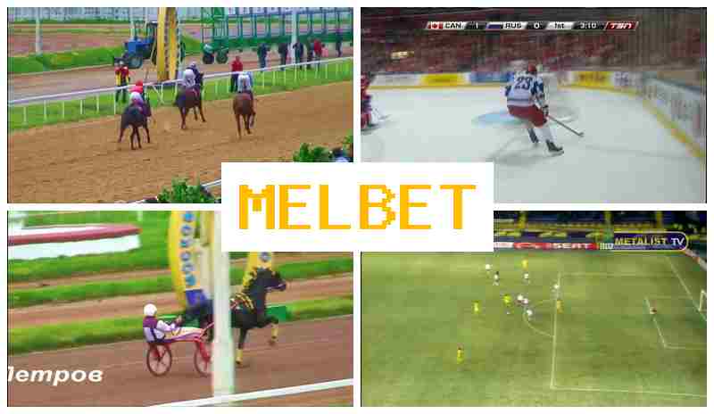 MELB ET 💶 Bookmaker Platform, Free Play Rewards, Live Event Betting