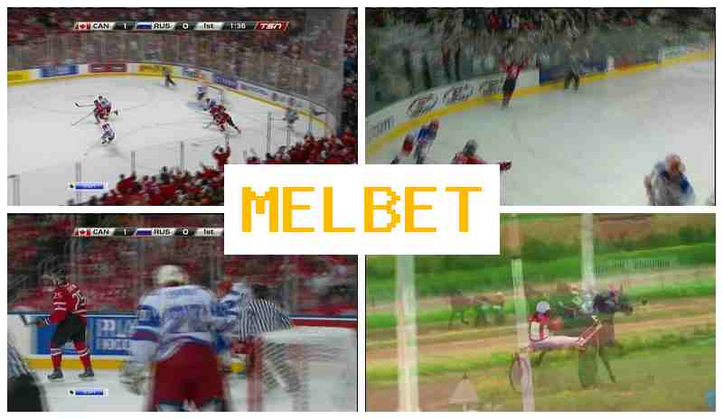 MEL BTE ✔️ Sportsbook Company, Official Site, Registration