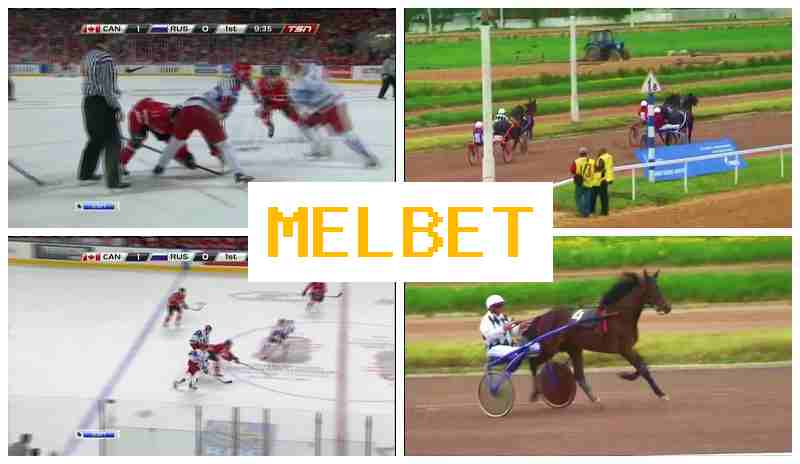M4L BET ☑️ Online Betting Platform Online, Sign Up, Access Official Site, Sports Betting
