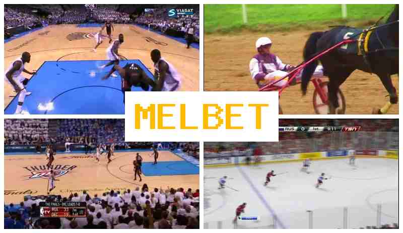 MDL BET 🔶 Betting on Sports, First Deposit Bonus, Official Website of the Bookmaker