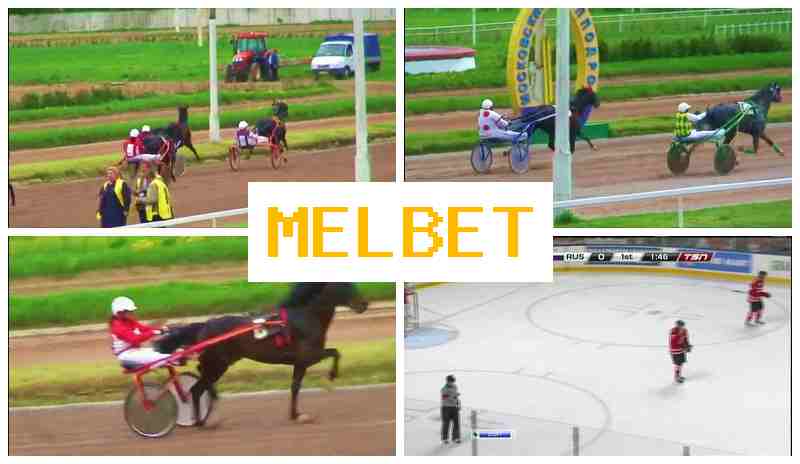 MSL BET ☘ Internet Bookmaker, New User Bonus