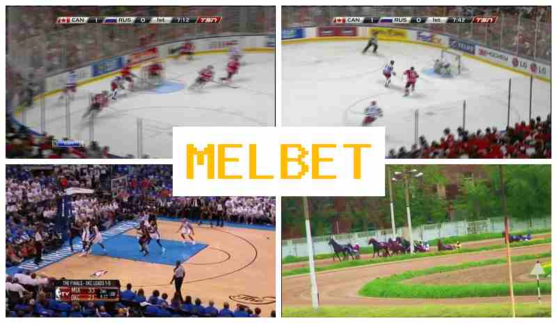 MEO BET 🔷 Betting Office