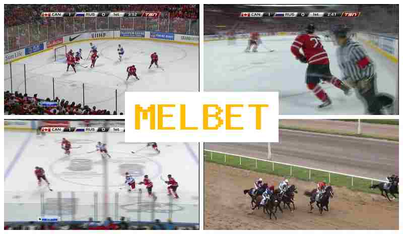 MELBTE 💵 Betting Office