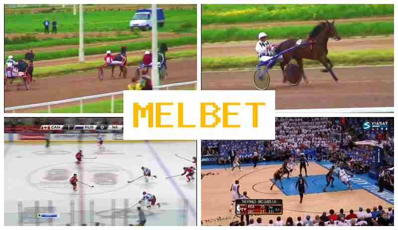 MWLBET ⚽ Online Bookmaker, Official Site, Bonuses and Free Bets, Registration