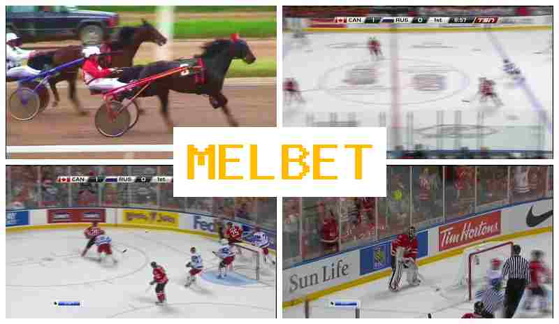 M3LBET 🔷 Online Sports Bets, Registration Bonus, Verified Platform of the Bookmaker