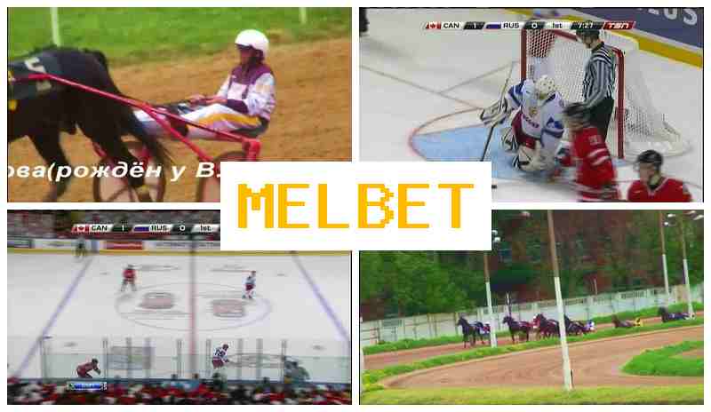 MELHET 💲 Bookmaker Company, Online, Official Site
